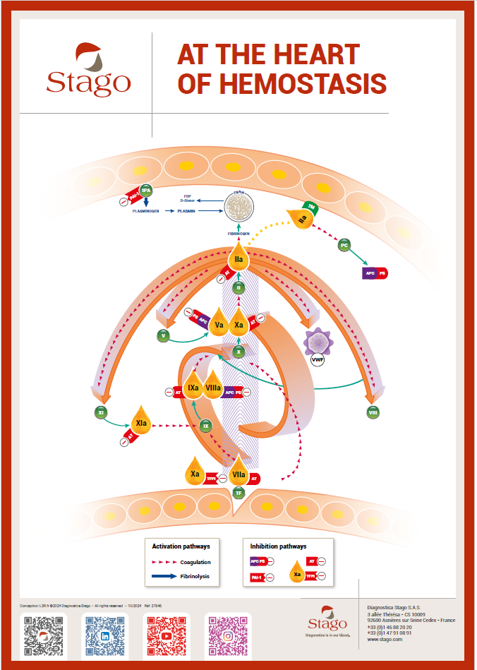 Hemostasis