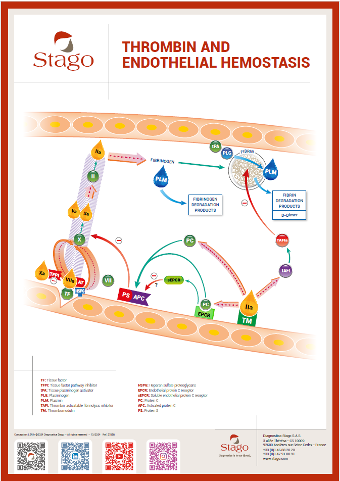Thrombin