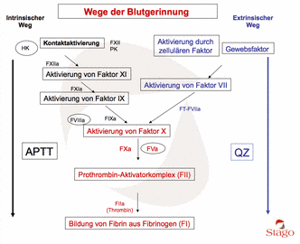 RTEmagicC Coag pathways