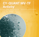 CY-QUANT MV-TF Cover